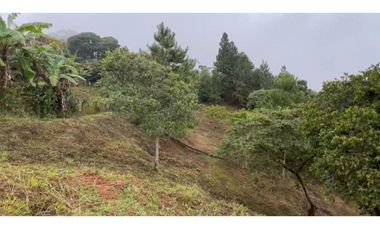 VENTA DE LOTE EN DAPA SECTOR LAS FLECHAS CN W:9305864