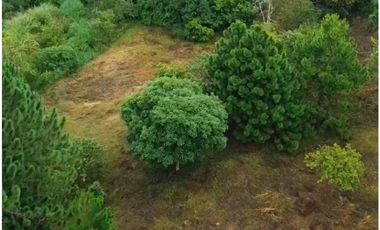 VENTA DE LOTE EN DAPA SECTOR LAS FLECHAS CN W:9305864