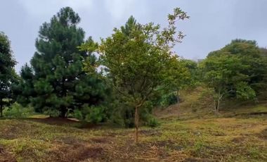 VENTA DE LOTE EN DAPA SECTOR LAS FLECHAS CN W:9305864