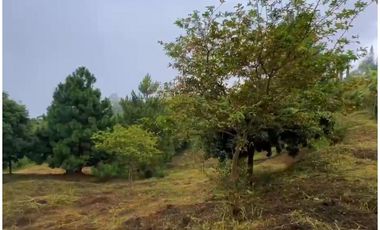 VENTA DE LOTE EN DAPA SECTOR LAS FLECHAS CN W:9305864