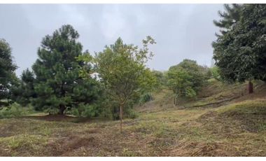 VENTA DE LOTE EN DAPA SECTOR LAS FLECHAS CN W:9305864