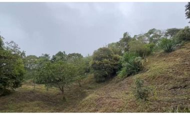 VENTA DE LOTE EN DAPA SECTOR LAS FLECHAS CN W:9305864