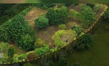 VENTA DE LOTE EN DAPA SECTOR LAS FLECHAS CN W:9305864