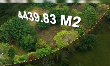 VENTA DE LOTE EN DAPA SECTOR LAS FLECHAS CN W:9305864