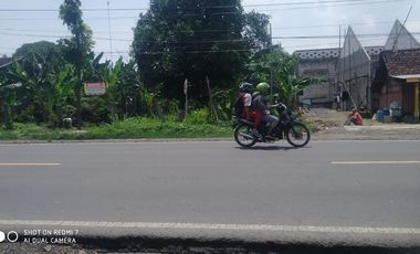 For Sale: Strategic Roadside Land on Surabaya–Jogja Provincial Route – 760 m² Freehold Title