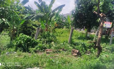 For Sale: Strategic Roadside Land on Surabaya–Jogja Provincial Route – 760 m² Freehold Title