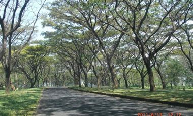 Hunian Rumah Villa The Taman Dayu Residence