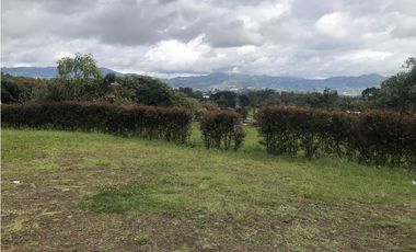 Venta de Lote En La Ceja