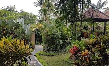 JUAL VILLA MURAH DI UBUD