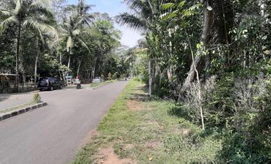 Dijual Tanah Luas Strategis Cocok Untuk Usaha Dan Investasi Di Kebumen