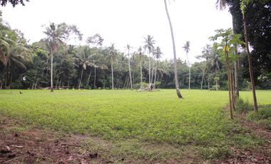 Dijual Tanah Luas Strategis Cocok Untuk Usaha Dan Investasi Di Kebumen