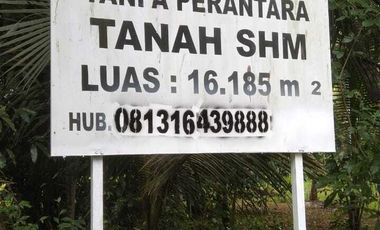Dijual Tanah Luas Strategis Cocok Untuk Usaha Dan Investasi Di Kebumen