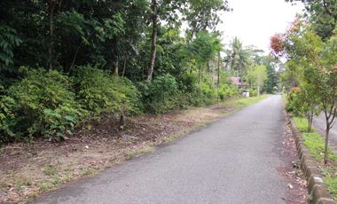 Dijual Tanah Luas Strategis Cocok Untuk Usaha Dan Investasi Di Kebumen