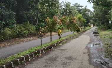 Dijual Tanah Luas Strategis Cocok Untuk Usaha Dan Investasi Di Kebumen