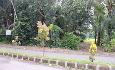 Dijual Tanah Luas Strategis Cocok Untuk Usaha Dan Investasi Di Kebumen