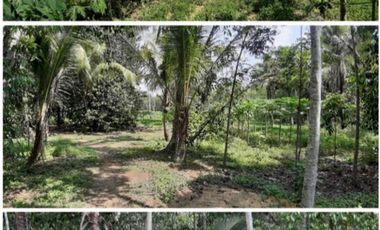 Dijual Tanah Luas Strategis Cocok Untuk Usaha Dan Investasi Di Kebumen