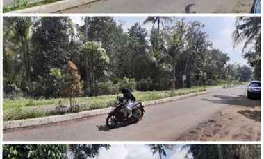 Dijual Tanah Luas Strategis Cocok Untuk Usaha Dan Investasi Di Kebumen