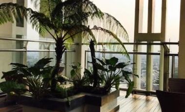 Sewa Apartemen Sky Terrace 2BR 55m2 , FF , Cicil