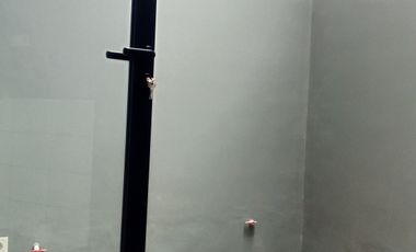 Godetia Rumah di SETU BSD