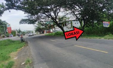 For Sale: 14,900 m² Roadside Land on Surabaya–Jogja Highway – Freehold Title, Ideal for Commercial Use