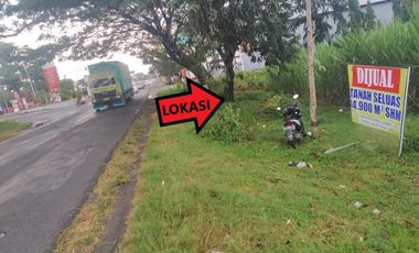For Sale: 14,900 m² Roadside Land on Surabaya–Jogja Highway – Freehold Title, Ideal for Commercial Use