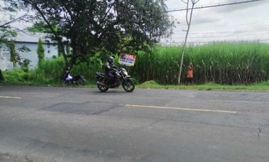 For Sale: 14,900 m² Roadside Land on Surabaya–Jogja Highway – Freehold Title, Ideal for Commercial Use
