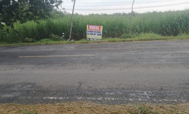 For Sale: 14,900 m² Roadside Land on Surabaya–Jogja Highway – Freehold Title, Ideal for Commercial Use
