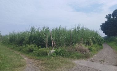 Tanah dijual di Ngasem, Kediri Kabupaten