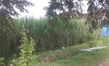 Lahan 3477m² SHM Depan SMP Ngasem – Strategis, Akses GOR Kab. Kediri