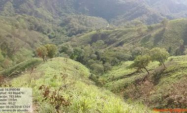 Rancho de 800 hectáreas con recursos naturales abundantes en venta, en Chiapas