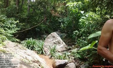 Rancho de 800 hectáreas con recursos naturales abundantes en venta, en Chiapas