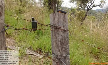 Rancho de 800 hectáreas con recursos naturales abundantes en venta, en Chiapas