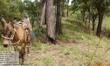 Rancho de 800 hectáreas con recursos naturales abundantes en venta, en Chiapas