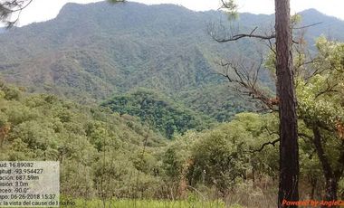 Rancho de 800 hectáreas con recursos naturales abundantes en venta, en Chiapas