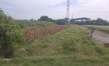 Lahan 1000m² SHM di Pinggir Jalan Dahlia – Strategis, Belakang Ngasem