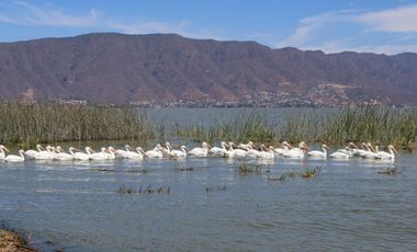 Departamento en  Lago Luna San Cristóbal