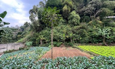 Jual tanah murah Royal View Ciwaruga Bandung Utara Harga nego