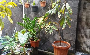 DIJUAL RUMAH 2 LANTAI DI LOKASI STRATEGIS, LINGKUNGAN SEJUK DAN NYAMAN