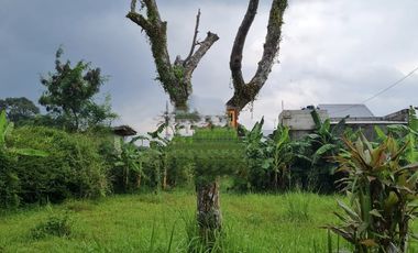 Tanah dijual di Bogor Selatan, Bogor, Jawa Barat