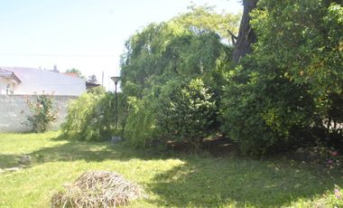 **TERRENO EN VENTA EN LOS PINARES**