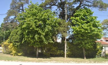 **TERRENO EN VENTA EN LOS PINARES**
