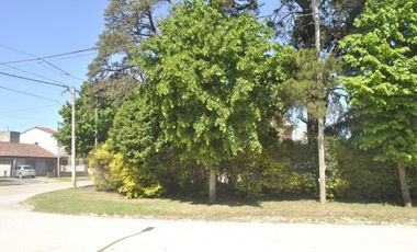 **TERRENO EN VENTA EN LOS PINARES**