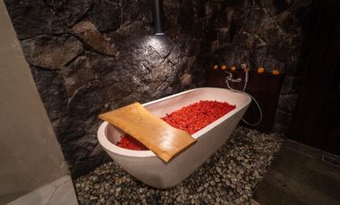 DIJUAL VILLA MODERN MURAH DI UBUD