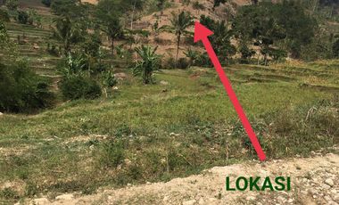 Tanah bukit, +/- 15 Ha, 16 menit dari KBP