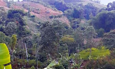 Tanah bukit, +/- 15 Ha, 16 menit dari KBP