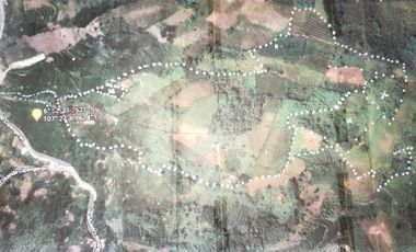 Tanah bukit, +/- 15 Ha, 16 menit dari KBP