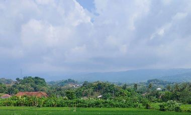 For Sale 3 Br Newbrand Villa Near Lovina View To The Ricefild