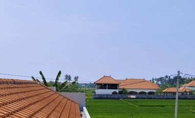 For Sale 3 Br Newbrand Villa Near Lovina View To The Ricefild