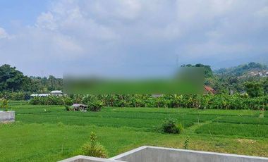 For Sale 3 Br Newbrand Villa Near Lovina View To The Ricefild