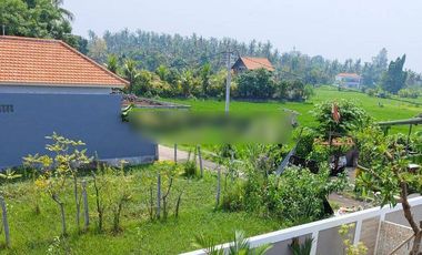For Sale 3 Br Newbrand Villa Near Lovina View To The Ricefild